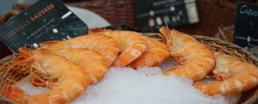 quelles meilleures idees cadeaux ecologiques famille