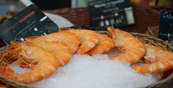 quelles meilleures idees cadeaux ecologiques famille